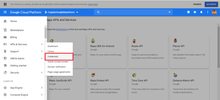 Angular 9 – Google Maps Module – DevSuhas